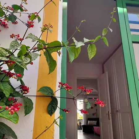 Morning Sun Apartment 229 Puerto De Mogan Exterior foto